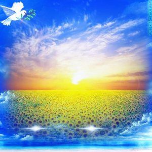 Meet your Posher, Claudia